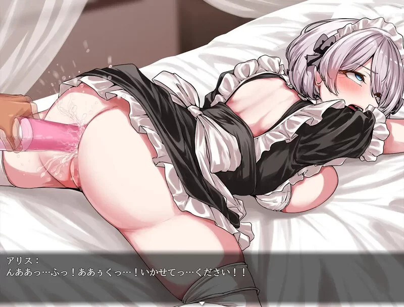 [PC-RPG] 【探索RPG/女仆羞辱/汉化】没落女仆 阴道与毒药（… [1+2.4G][百度盘]