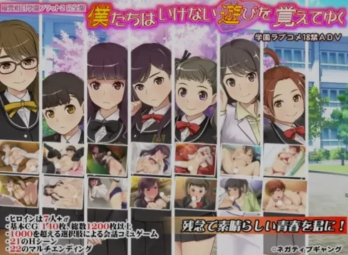 [PC/佳作/全CG/校园恋爱/精翻] 风云相讨学园Flat2 完全版+DLC [1+798M][百度盘]