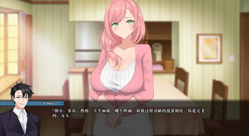笨拙的NTR1.0.0汉化版PC+安卓 [2+1.3g][百度盘]