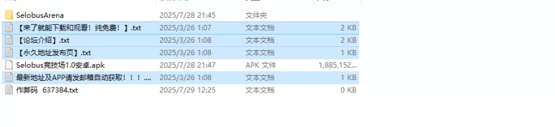 【战场RPG/战斗H/汉化】塞洛布斯竞技场（SelobusArV1.0 内嵌AI… [1+4G][百度盘]
