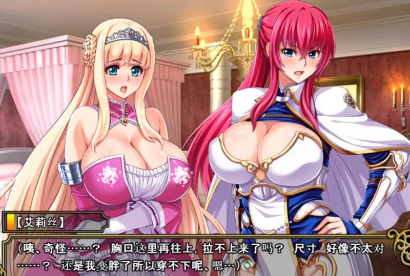 [双端}王女x女骑士：超绝下品露出会 官方中文补完版+CG [2+3g][百度盘]