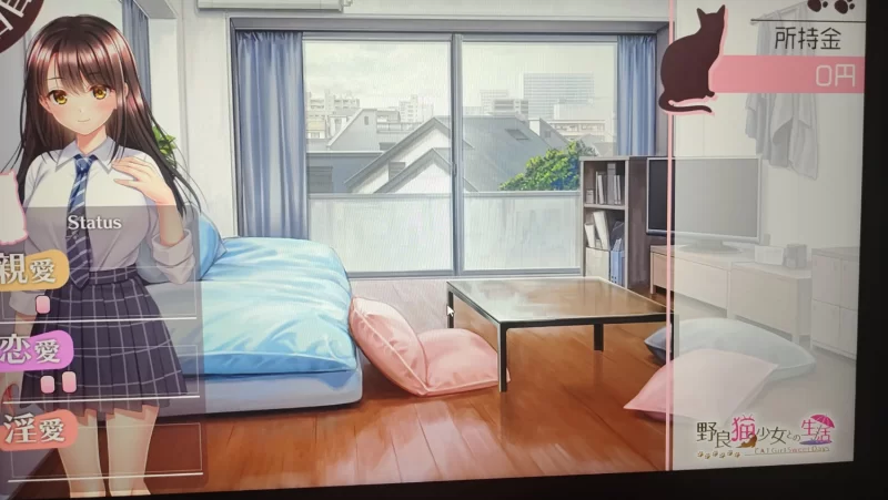 [PC-SLG]与流浪猫少女的甜蜜日常汉化版 [1+1.7g][百度盘]