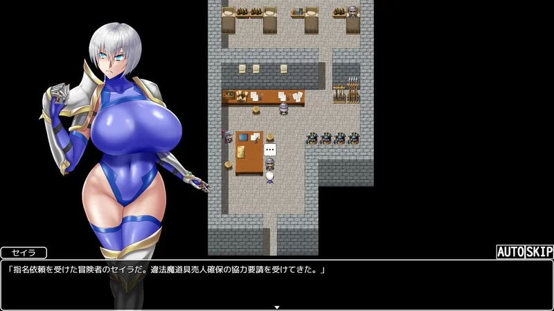 PC/Dランク冒険者　セイラの淫難冒険譚/D级冒险者赛拉的… [1+715MB][百度盘]