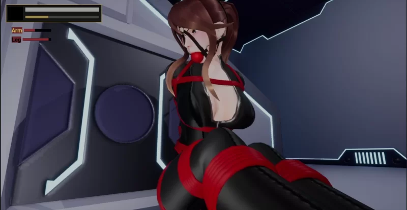 [PC/3D互动/步兵] 捆绑项目BoundProject Ver31-1 步兵版 25.08月更新 [1+1.2g][百度盘]