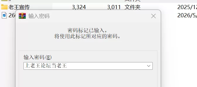 【PC/安卓/官中/亚洲风/SLG游戏】 永恒不再 Ver0.13.6 官中版 [1P+3.90G][百度盘]