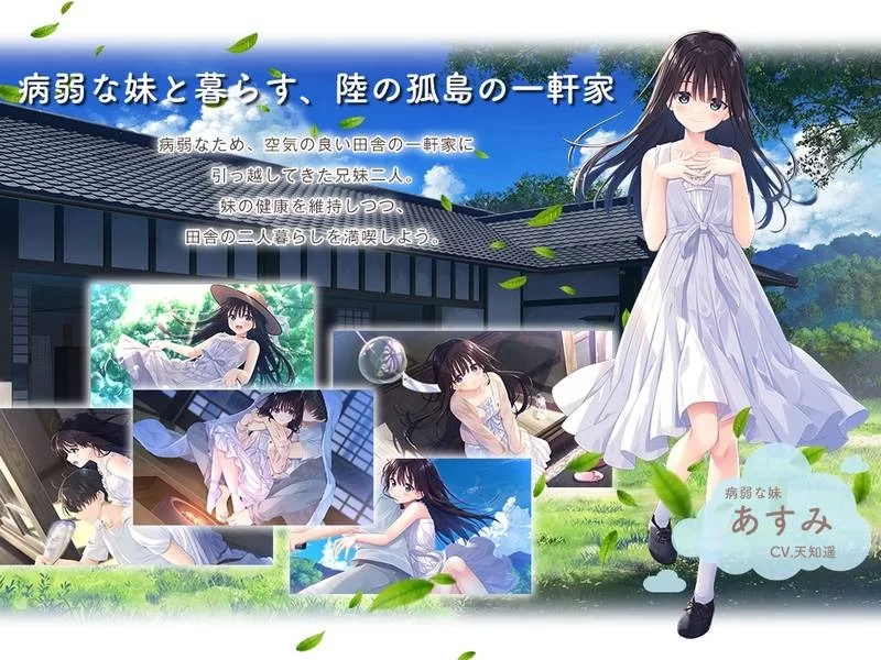 【PC】更新[精品RPG/日式/CV] 痴情哥哥与病弱妹妹的乡间生活含新DLC12345 官方中文版 [1+3.9G][百度盘]