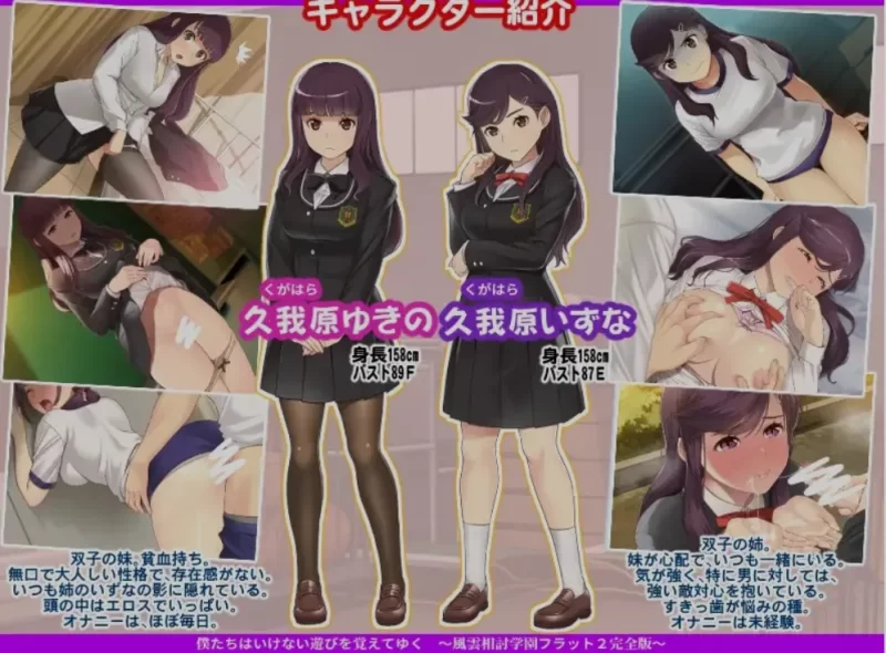 [PC/佳作/全CG/校园恋爱/精翻] 风云相讨学园Flat2 完全版+DLC [1+798M][百度盘]