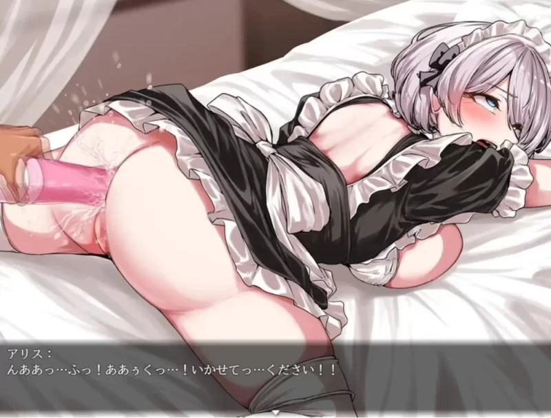 【探索RPG/女仆羞辱】没落女仆 阴道与毒药V1.0 [AOP模拟器] [1+1.42G][百度盘]