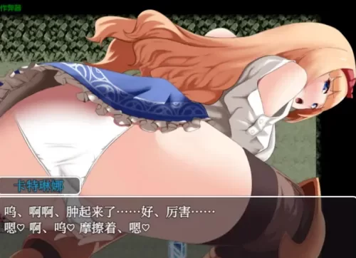 附作弊[PC+APK/男主视角强奸/恶堕/AI汉化]用春药狩猎女冒险者 [1+1.01G][百度盘]