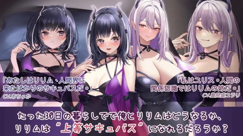 [PC/SLG/官中]魅魔莉莉姆想要升级 [1+780M][百度盘]