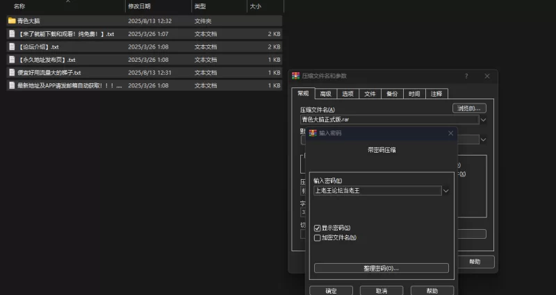 PC端 青色大脑正式版 重口 战斗h 发售日2025年08月12日 16时 [1+1.5G][百度盘]