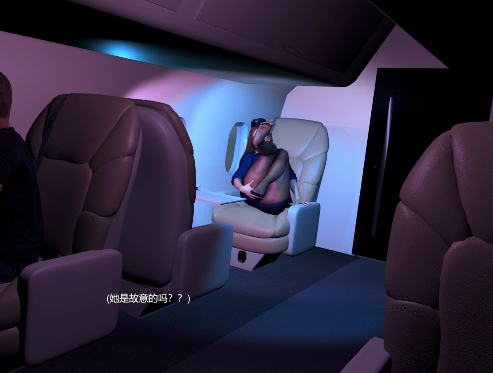 VAM Vamsoy佳作，空姐主题场景The_Flight_Attendant [本+1.5G][百度盘]