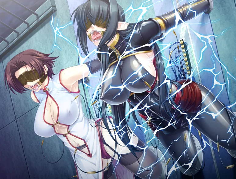 PC~虐待拔作重口ADV】钢铁魔女安妮罗丝~内嵌汉化+动画+全CG [2+4.5G][百度盘]