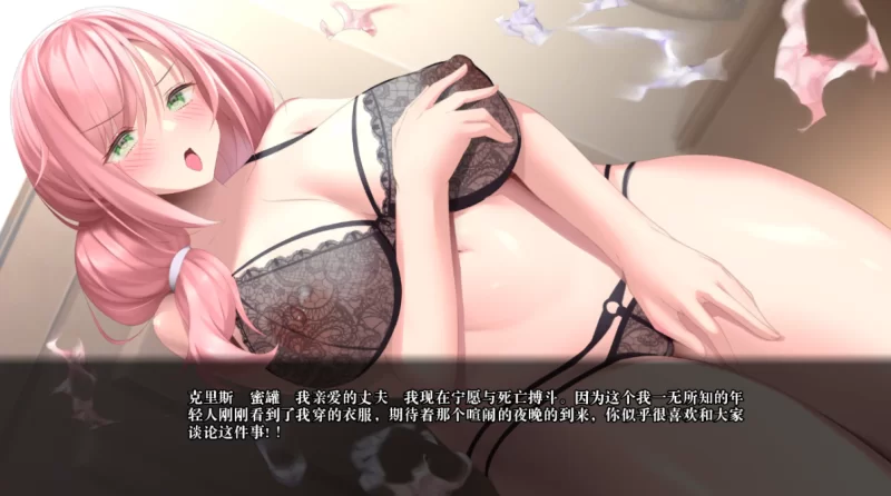 笨拙的NTR1.0.0汉化版PC+安卓 [2+1.3g][百度盘]