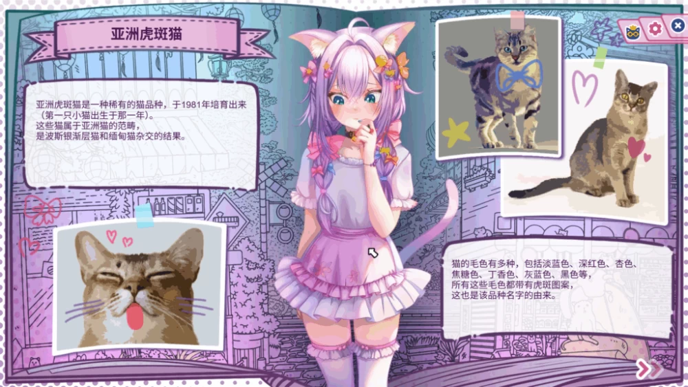 【PC】猫娘百科：寻找她的小尾巴 ~ +存档+官中+无码 [1P+2.7G][百度盘]