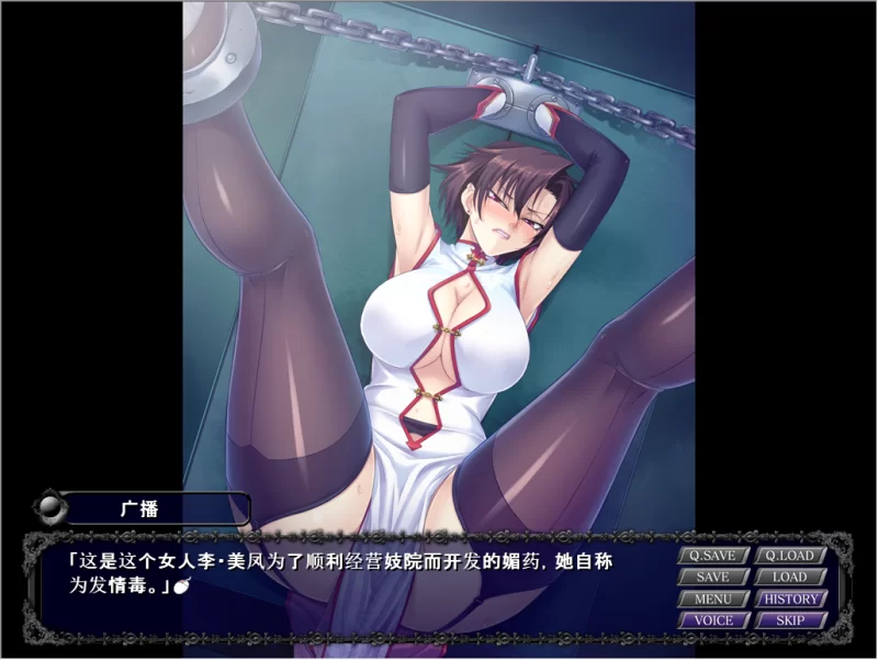 PC~虐待拔作重口ADV】钢铁魔女安妮罗丝~内嵌汉化+动画+全CG [2+4.5G][百度盘]