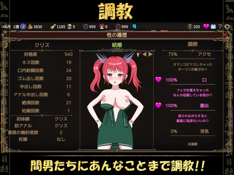 PC–被蛮族盯上的村庄～NTR整个村庄的模拟游戏～（蛮族に… [1+5.3G][百度盘]