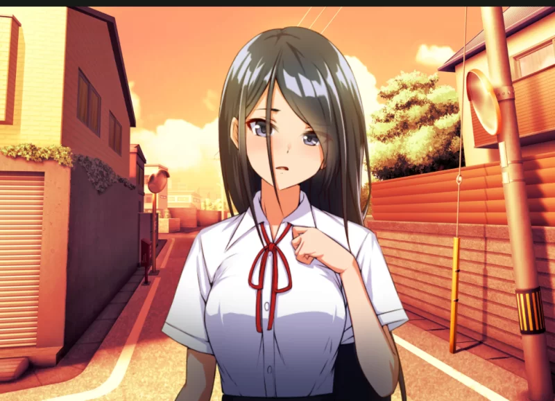 PC[NPC奸JK制服RPG】我偏好用平凡路人角色强暴NPC v1.0内嵌汉化 [2+688M][百度盘]