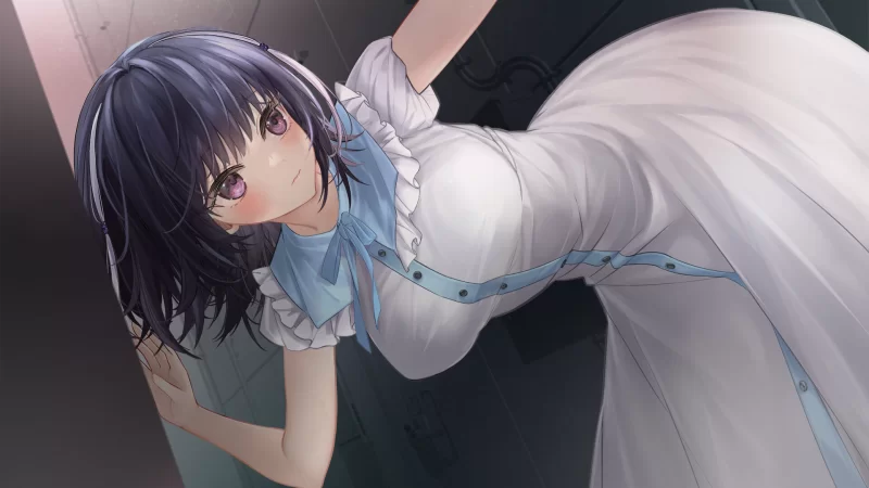 [PC/佳作/触摸/官中/养成/动态/CV] 魅魔莉莉姆想要升级♥ [1+726M][百度盘]
