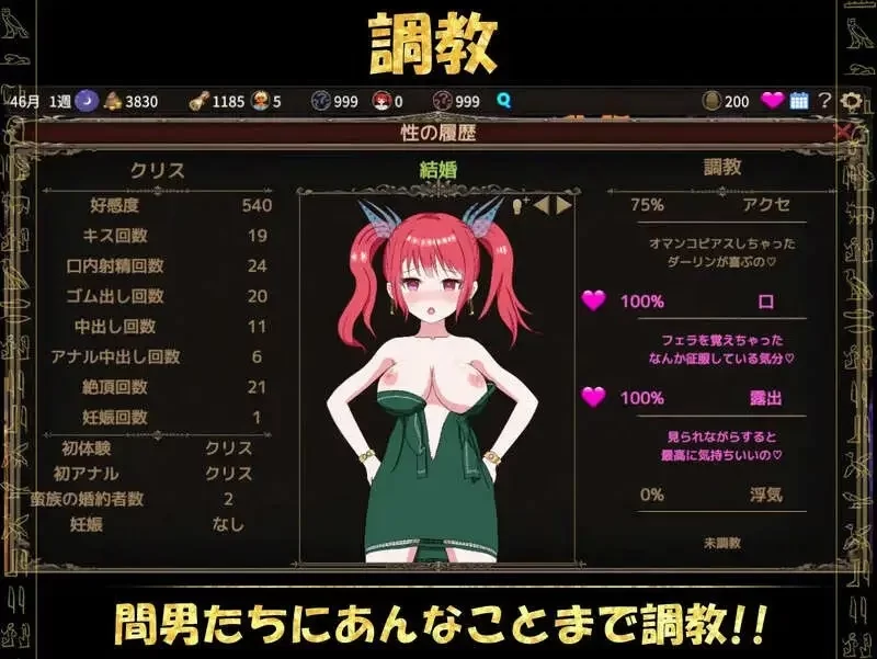 【PC/战略SLG/官中】被蛮族盯上的村庄～NTR整个村庄的模拟游戏～ V1.10 DLC [1+439MB][百度盘]