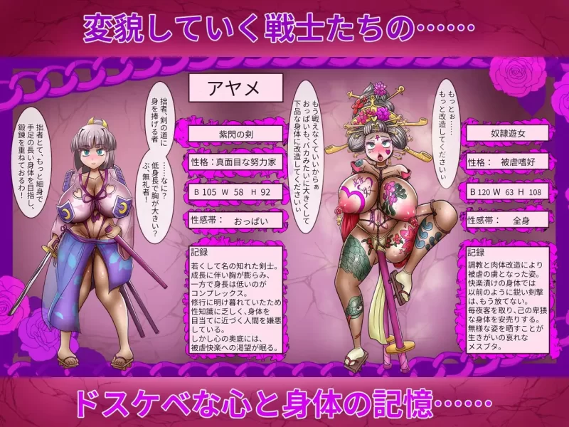 [RPG汉化PC触摸]性公主塞蕾丝～被夺走的战士们 性王女セレ… [1+1G][百度盘]