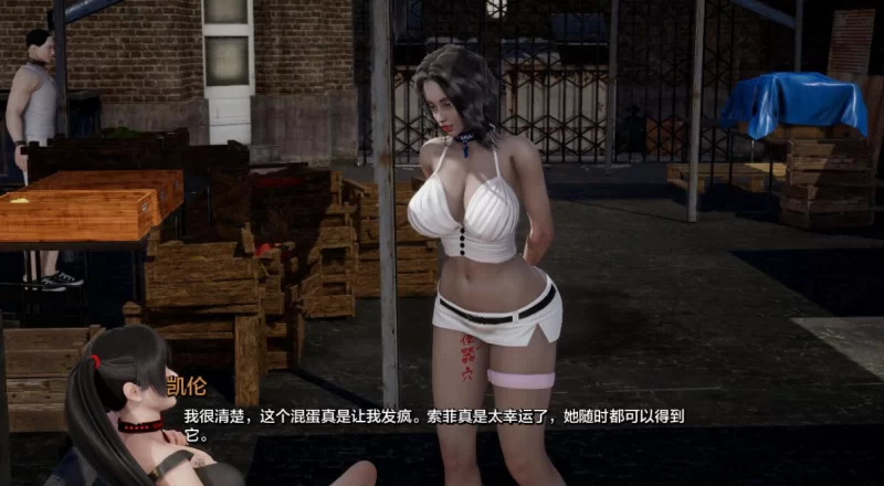 [亚洲SLG]项目Project 0.11汉化版PC+安卓 [2+8.4g][百度盘]
