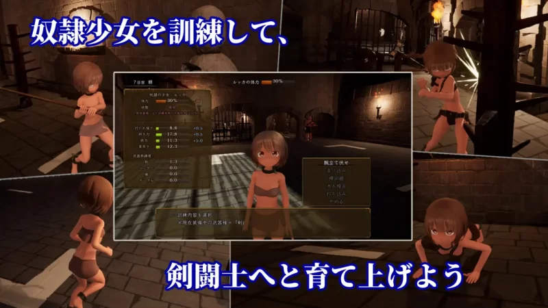 【日系ACT/3D/汉化/全动态/PC】枷锁的露卡～欲望与荣耀的竞… [1+2.86G][百度盘]
