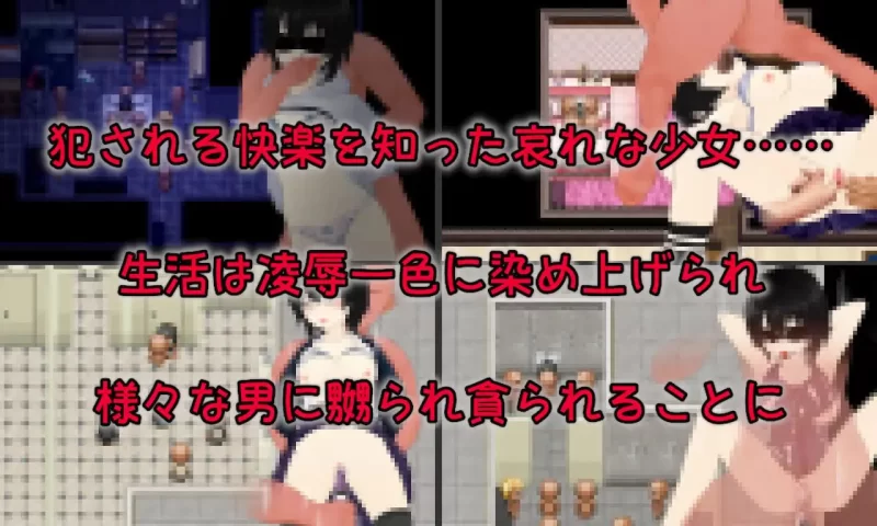 [RPG汉化PC NTR]Discard 顺从玩具少女愉快的抛弃方法  従順オ… [1+1.41G][百度盘]