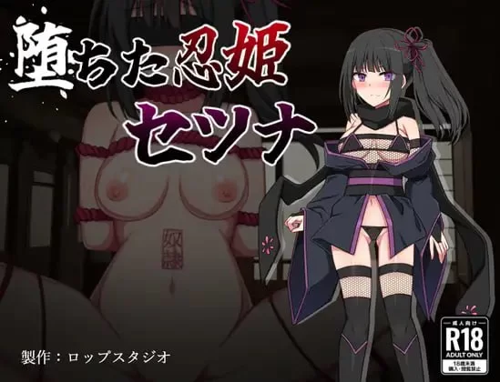 [RPG汉化PC]堕落的忍姬莎娜 堕ちた忍姫セツナ [1+340M][百度盘]