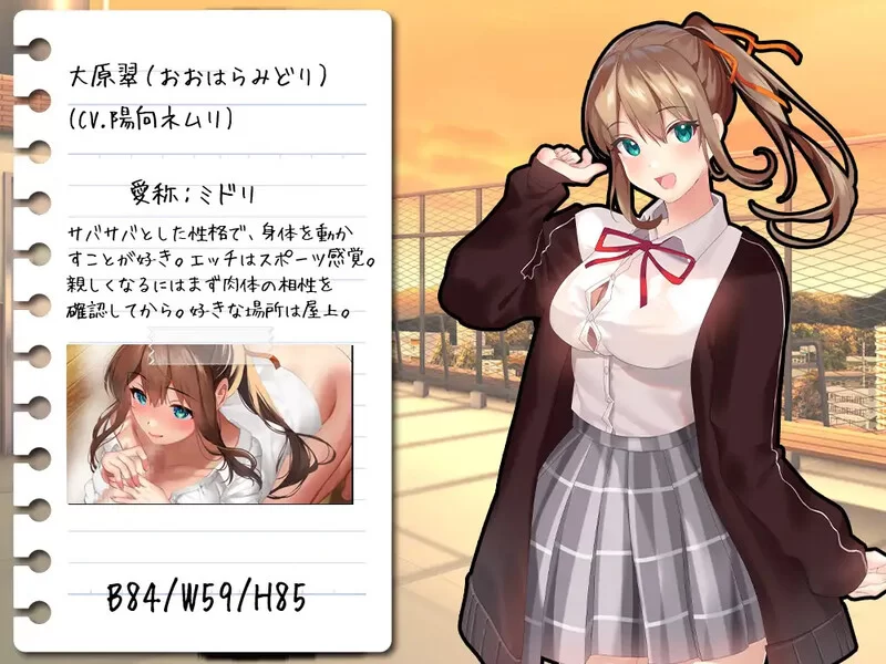 [PC-RPG] 【探索RPG/校园JK/汉化】有点小碧池的JK -从炮友开始… [1+1.1G][百度盘]