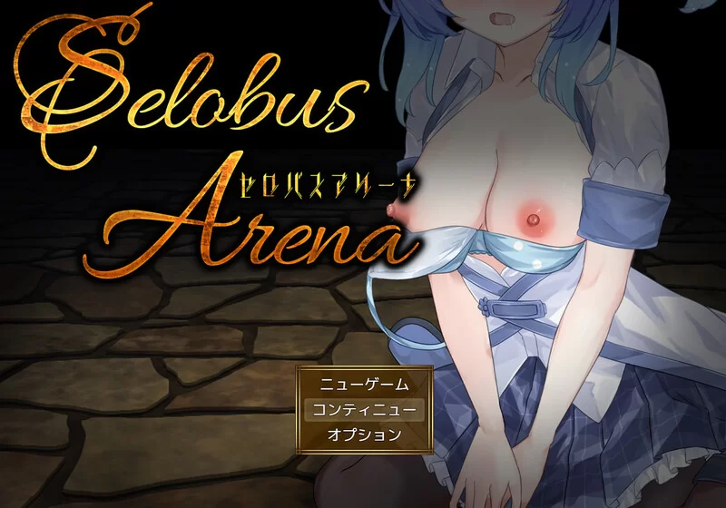 PC+安卓–塞洛布斯竞技场（SelobusArena）V1.0 内嵌AI汉化 [1+4G][百度盘]