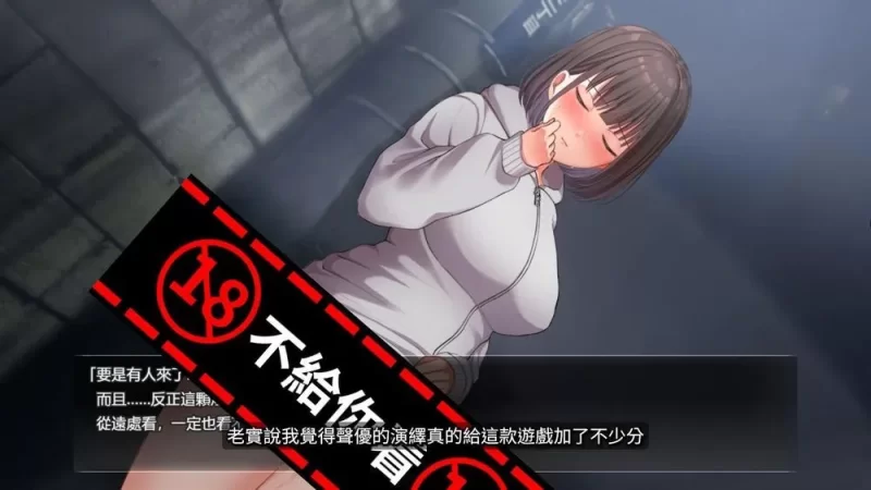 [PC/佳作/个人推荐/淫乱/CV/露出/官中无修] 夜行 Night Stroll [1+842M][百度盘]