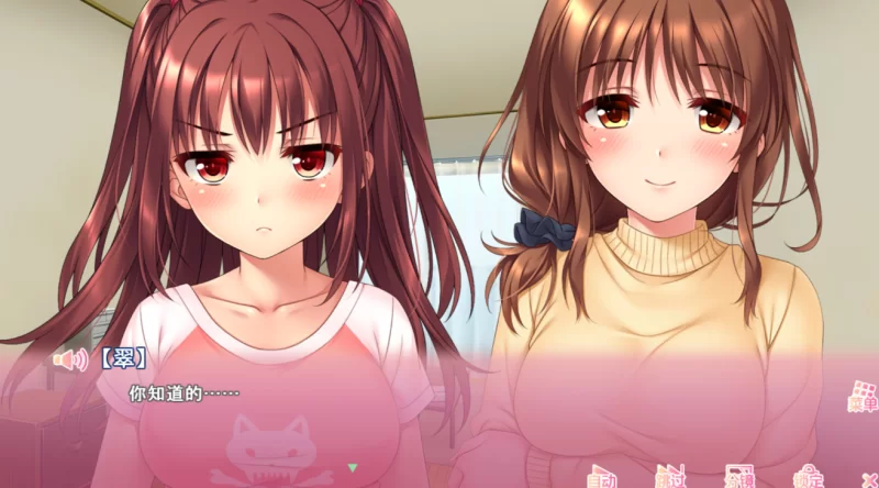 [PC-SLG]义妹私教辅导~哥哥我是家庭教师1.01官中步兵 [1+2.2g][百度盘]