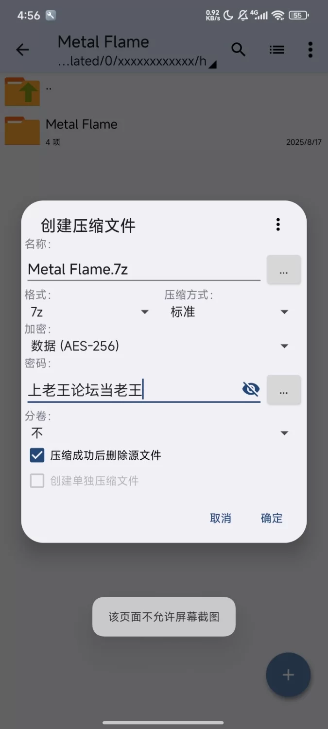 [安卓/像素/ACT]金属火焰Metal Flame(多语言)+双存档全cg骑兵 [1+353mb][百度盘]