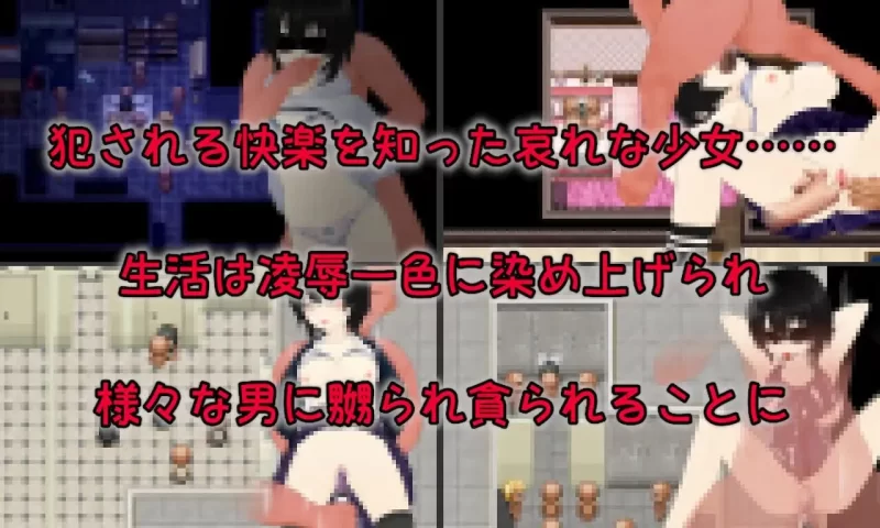 PC–顺从玩具少女的愉快抛弃方式 Discard 従順オモチャ少女… [1+2.3G][百度盘]