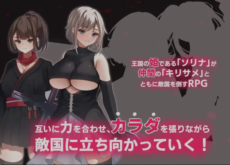 [PC/佳作/战斗H/全CV/汉化/全动态]好色之徒：双子-公国沦陷篇 [1+1.74G][百度盘]