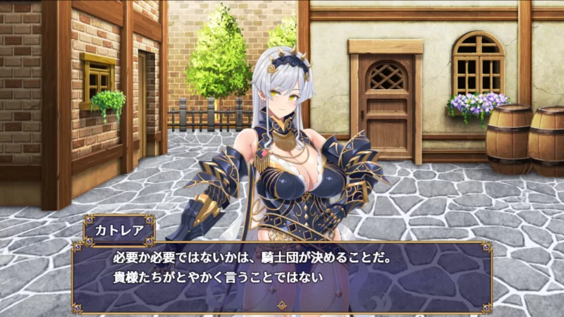 已补[PC/佳作/全CG/后宫/官中无修/有CV] 煌星的胜利女神 [1+1.47G][百度盘]