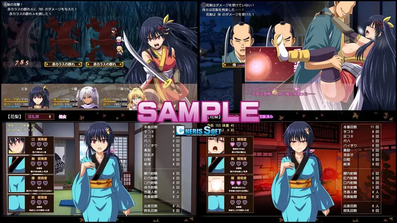 [PC-RPG] 【爆款RPG/动态/汉化】大型江户幻想RPG：女忍者花… [1+2.1G][百度盘]