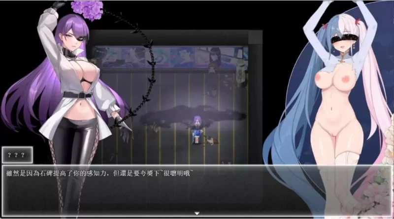 【PC/更新/ARPG/触手/动态/无码】夜幕之花v0.528 官中步兵版 [1+1.5G][百度盘]