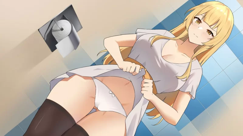 V0.9.0【PC+APK/绿帽/动态/互动/官中/NTR】一诺千劫 – 阿雅版 [1+7.63G][百度盘]
