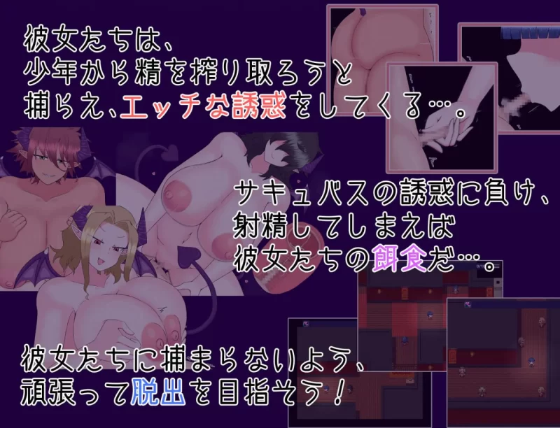 【RPG/AI汉化/PC】逃脱！次元空间屋 脱出！さきゅばすハウス [1+380M][百度盘]