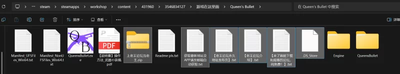 [3D 官中 动态 女主人公 战斗H 扶她 pc]女王之弹 v1.01 [1+9g][百度盘]
