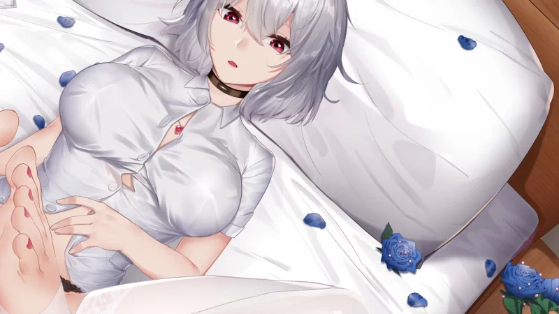 [PC-SLG] 【休闲SLG/动态/官中】掉落玩偶（Drop Doll）Build.130843… [1+300M][百度盘]