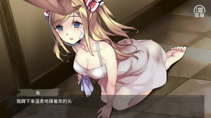 PC端 奈的调教日记 官方中文版+全CG [1+1G左右][百度盘]