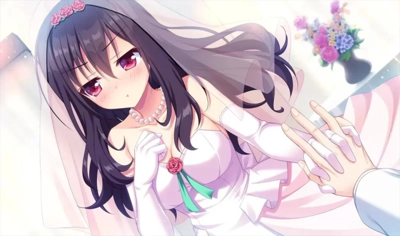 [恋爱ADV/官中/后宫/PC]恋爱成双  官方中文版 [1+3.73G][百度盘]