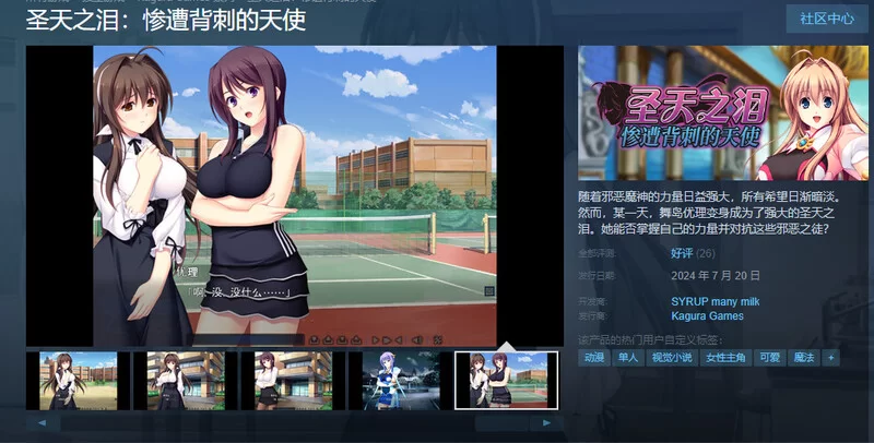 [PC-ADV] 【拔作ADV/淫虐多P/官中】圣天之泪：惨遭背刺的天… [1+8G][百度盘]