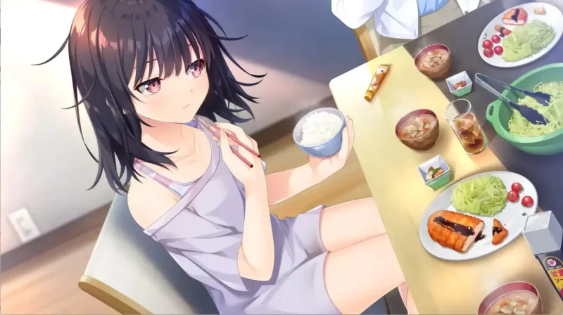 【PC/佳作/全CG/官中/骨科/贫乳】无法忍耐的处男哥哥 +dlc01-05 [1+2.49G][百度盘]