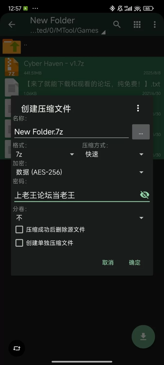 【PC端】CyberHaven足控 RPG 0.2 [1+600mb][百度盘]