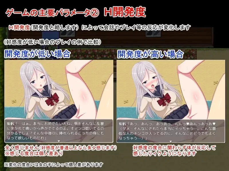[PC+安卓RPG] 【探索RPG/后宫萝莉/汉化】后宫造人训练营～成… [1+800M][百度盘]