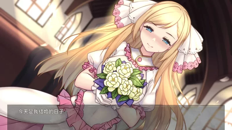 PC端 奈的调教日记 官方中文版+全CG [1+1G左右][百度盘]